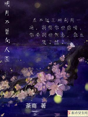 带贞洁锁文章